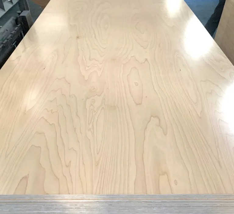 Birch Plywood 3
