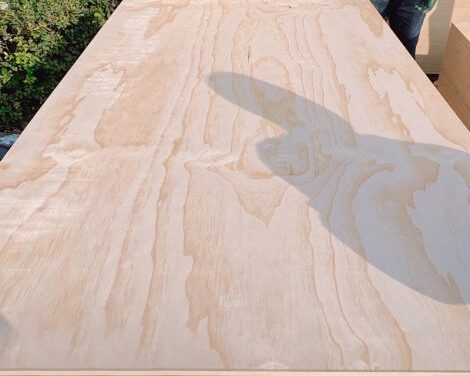 imgi_64_3-2-rcd4k1u47ghju7vk9p8utmftsxp54pnzkkx3lq3gf0 (1)