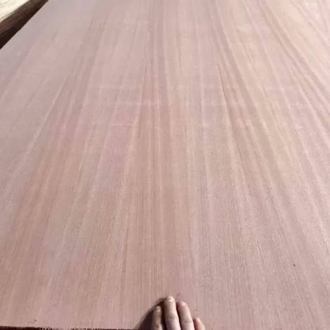 cropped-imgi_41_sapele-fancy-plwood-2