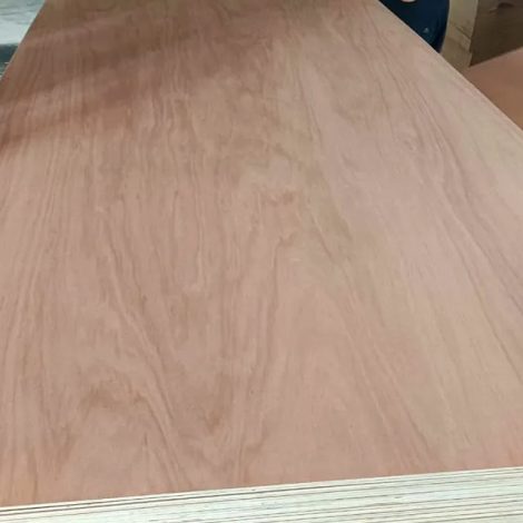 imgi_126_pencil-cedar-1