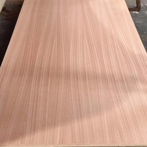 imgi_40_sapele-fancy-plwood-1 (1)