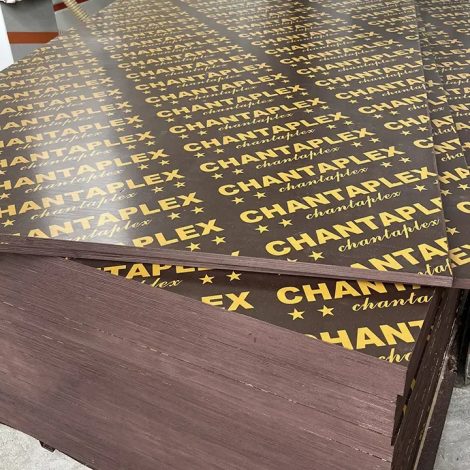 imgi_59_img-9944231153189229186149