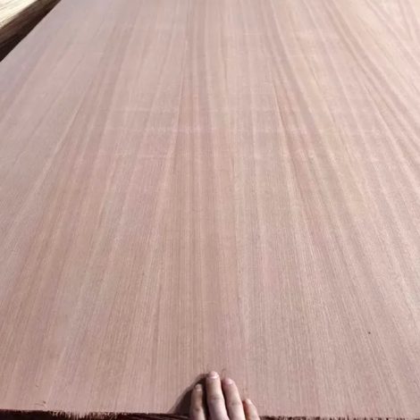 imgi_99_sapele-fancy-plwood-2